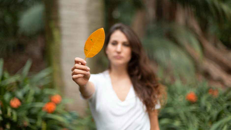 Cum susții glandele endocrine cu ajutorul plantelor adaptogene