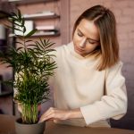 Cum alegi ghivecele potrivite pentru plantele de interior